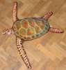 see turtle boomerang by Pat Cardiff