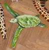 green see turtle by Pat Cardiff boomerang