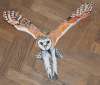 owl  boomerang by Siegfried Stiller