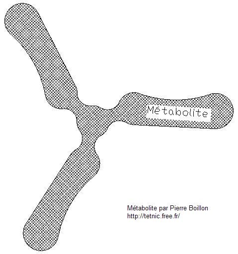 Metabolite