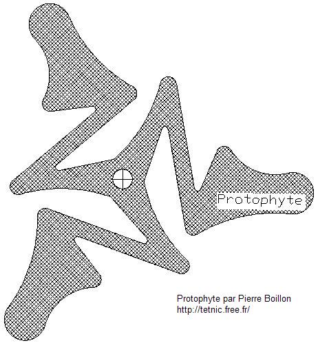 Protophyte