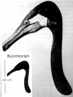 kormoran