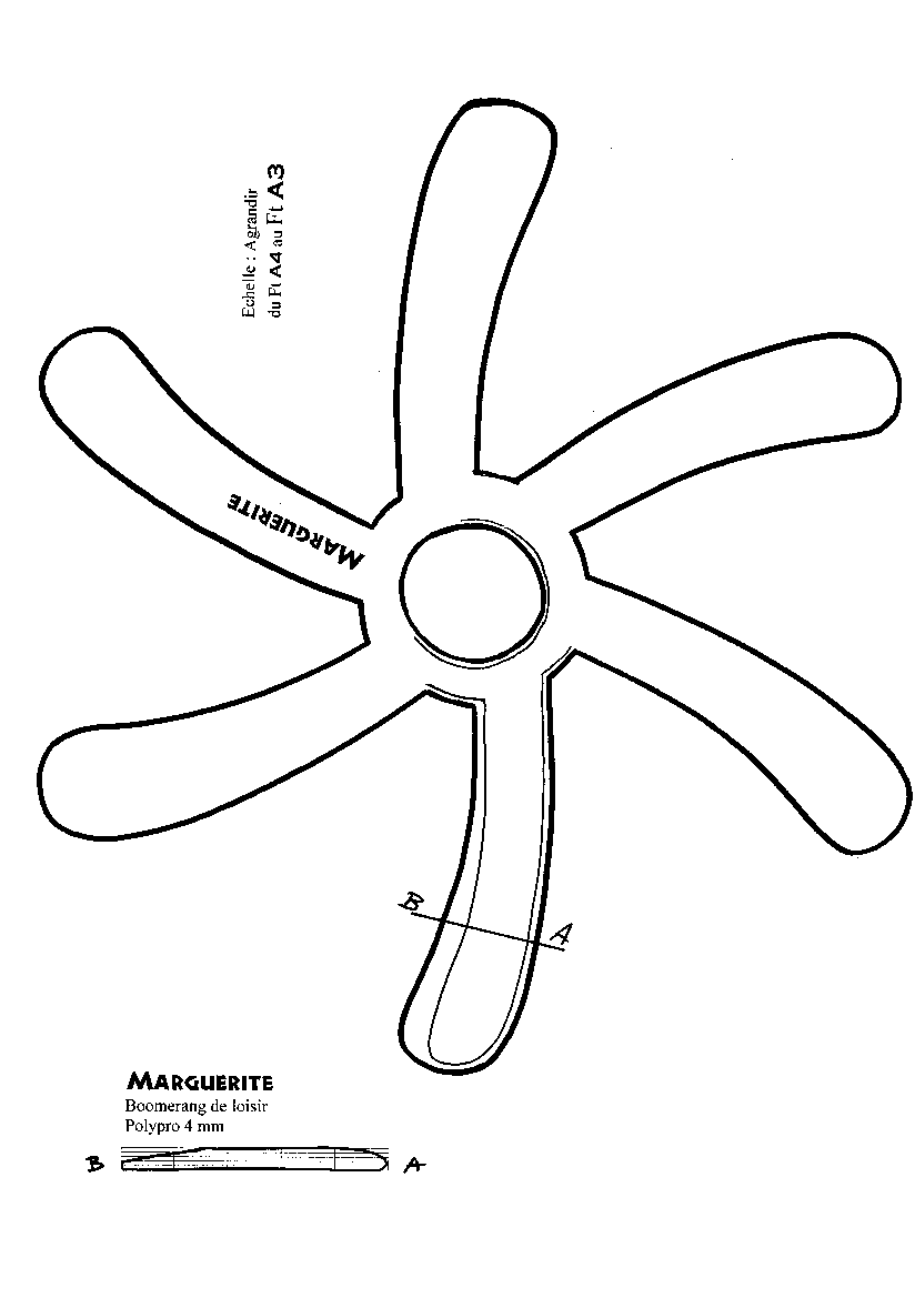 marguerite