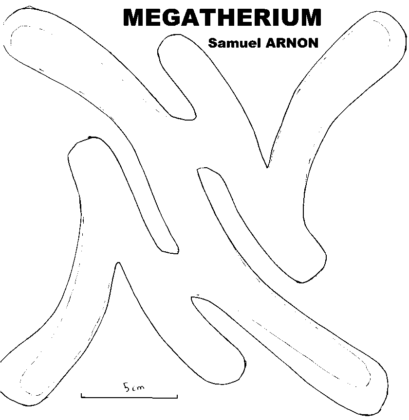 megath