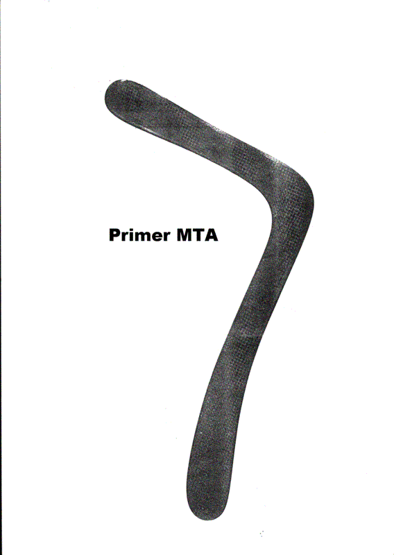 mta_primer