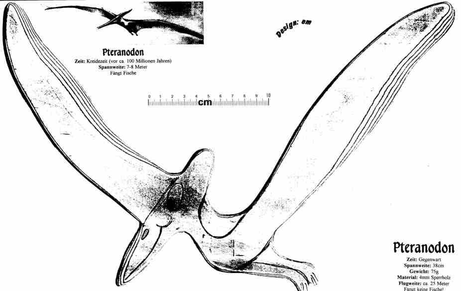 pteranodon