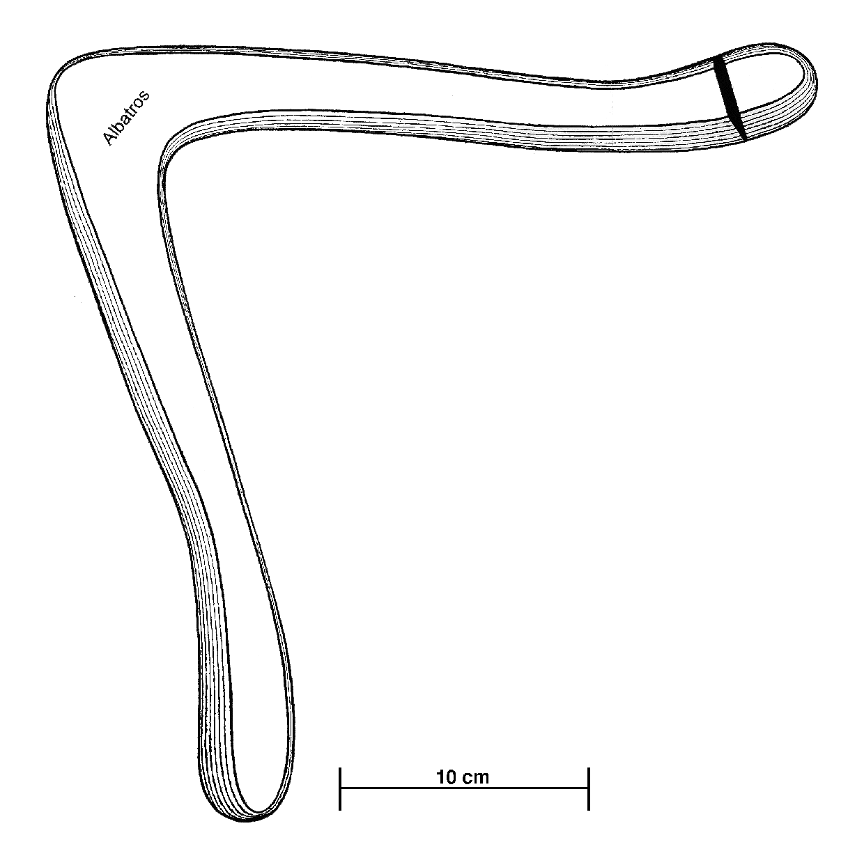 albatros